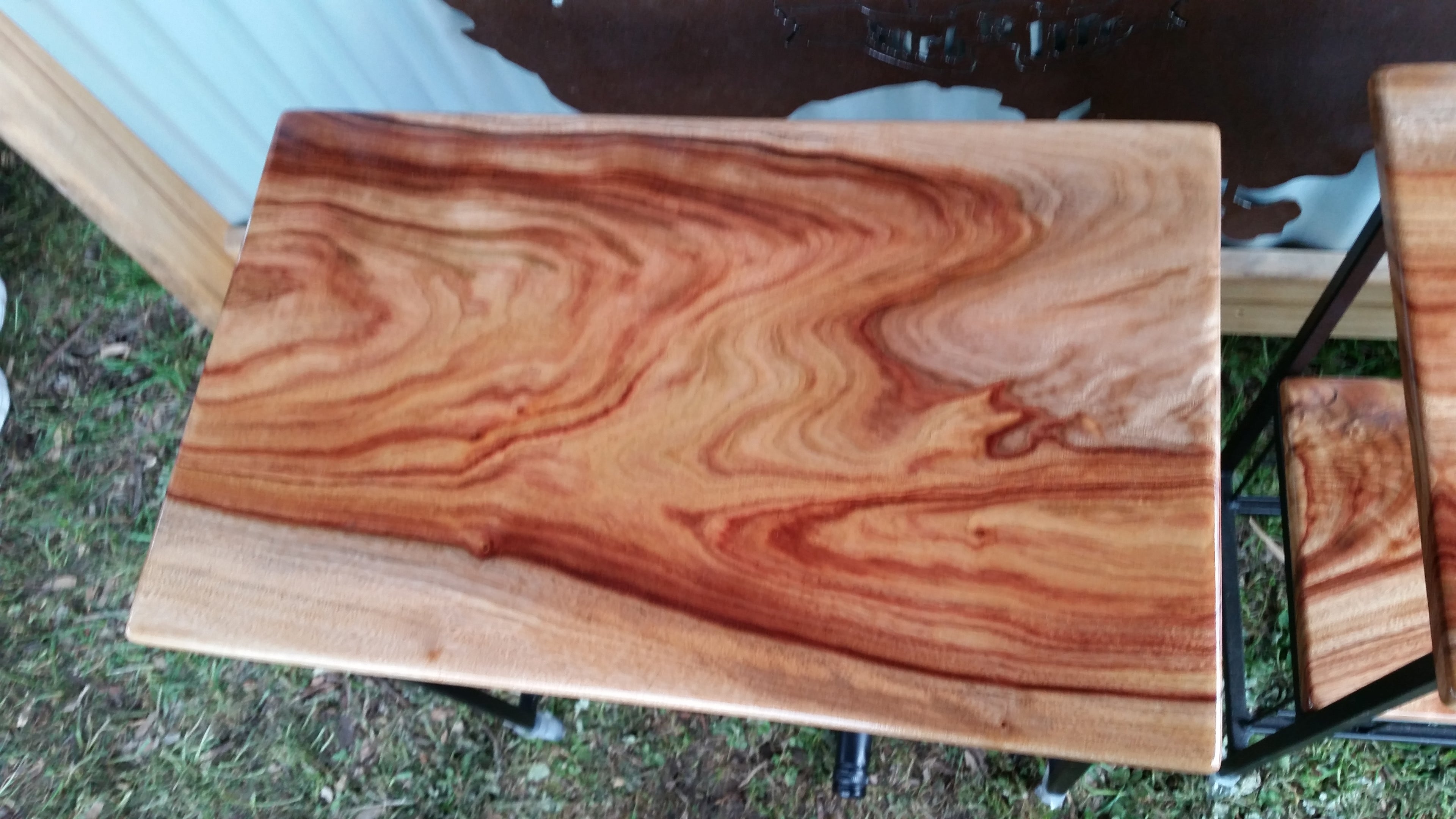 Camphor Laurel Wine Racks