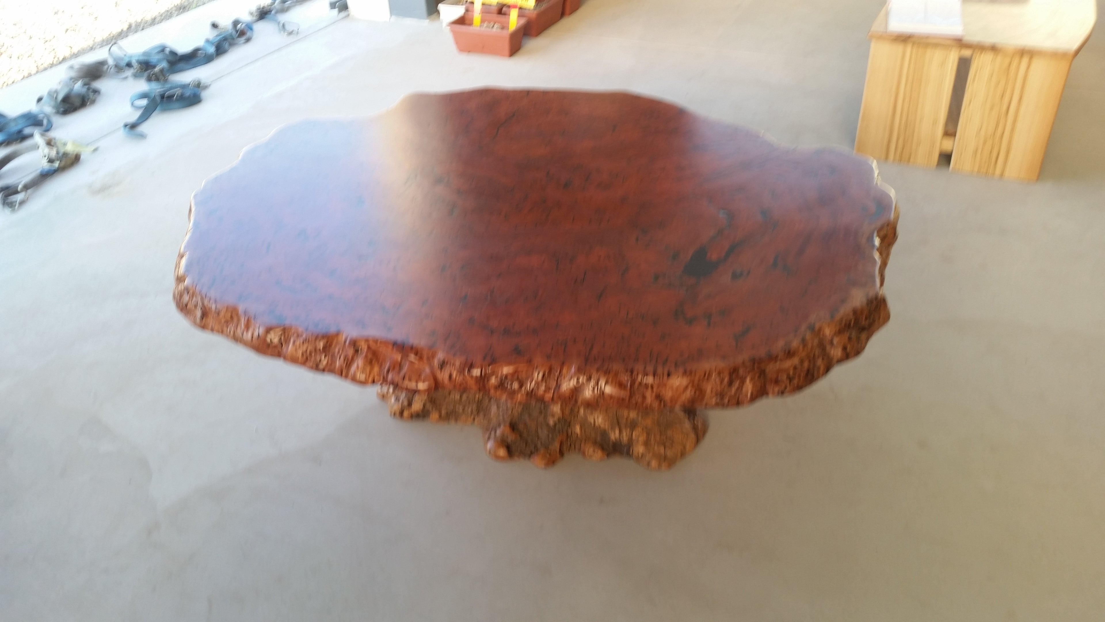 Redgum Burl Dining Table with Mallee Stump Base