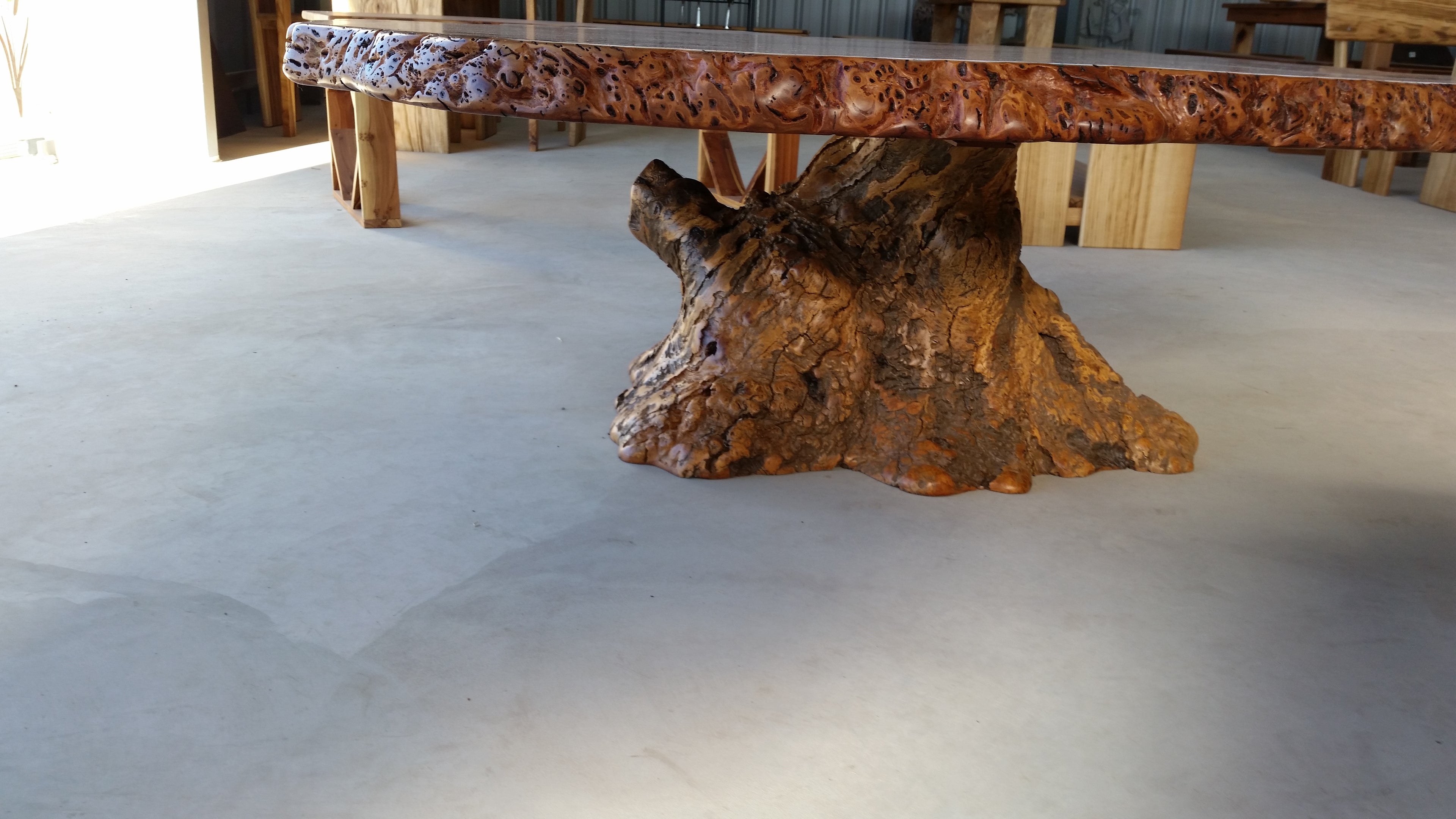 Redgum Burl Dining Table with Mallee Stump Base