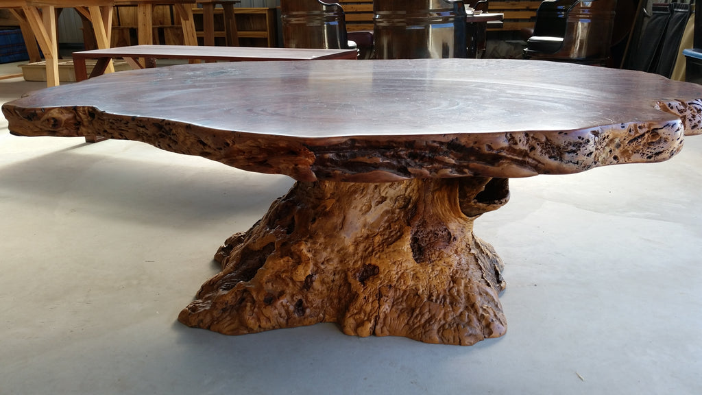 Redgum Burl Dining Table with Mallee Stump Base