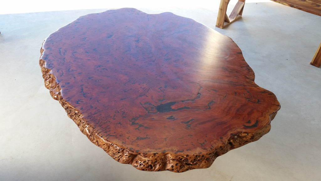 Redgum Burl Dining Table with Mallee Stump Base