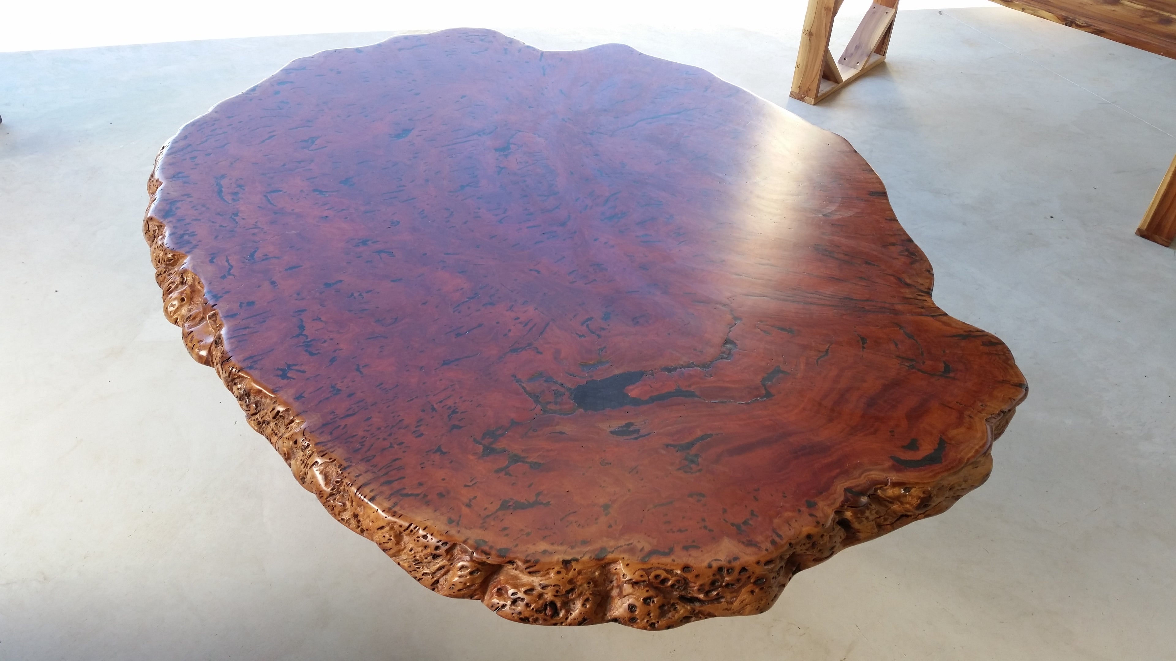 Redgum Burl Dining Table with Mallee Stump Base