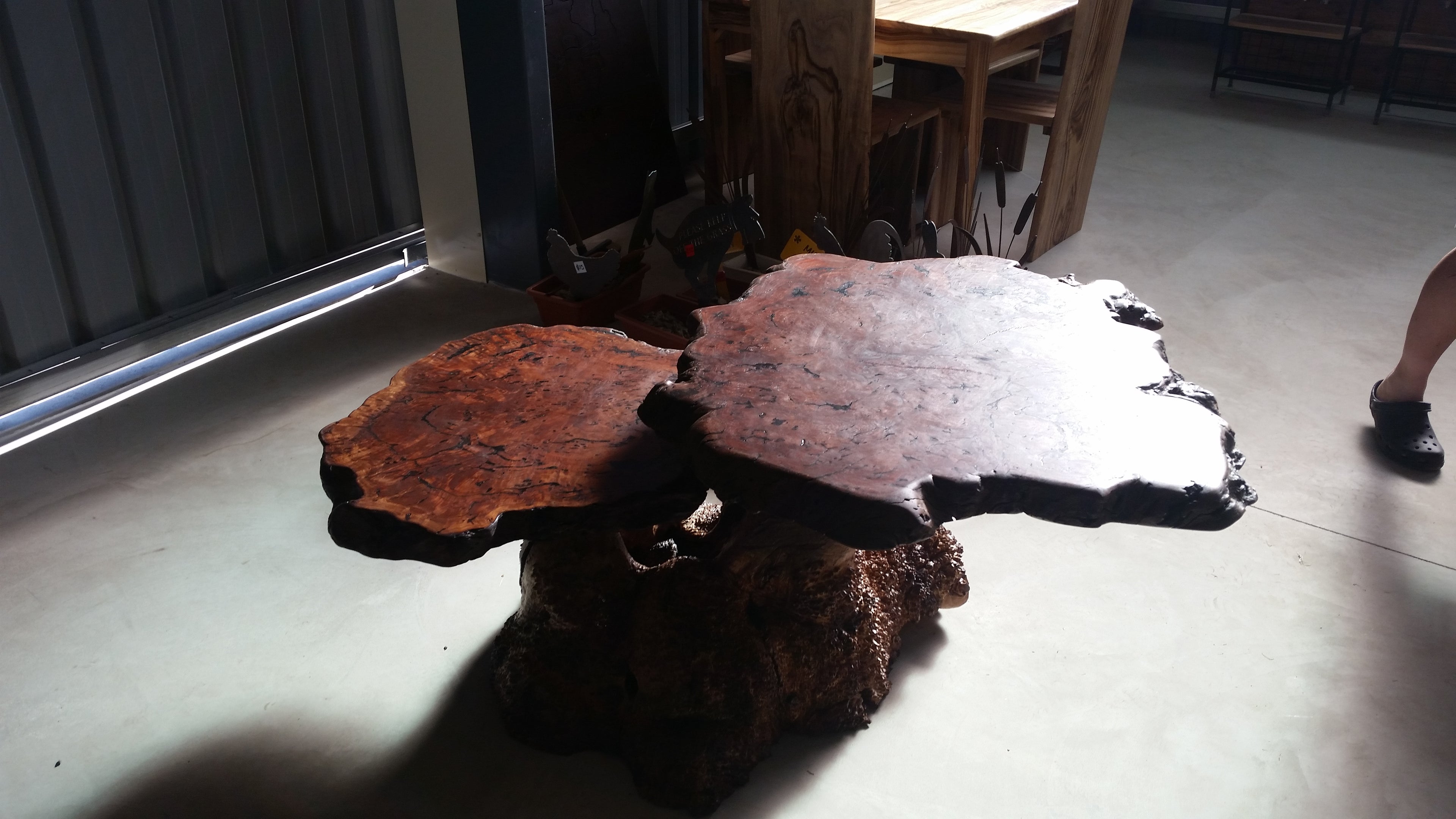 Redgum Burl Waterfall Coffee Table with Mallee Stump