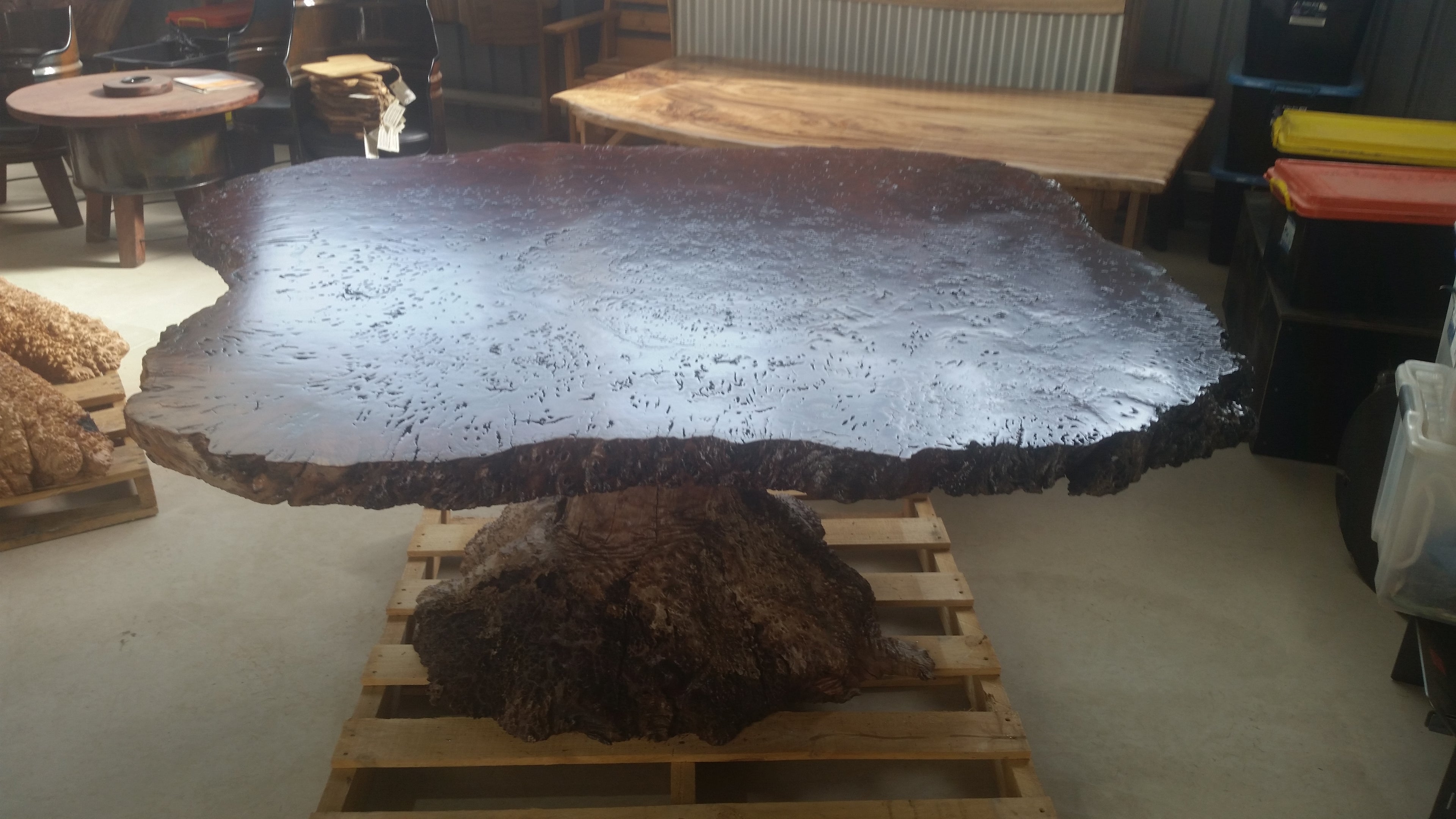 Redgum Burl Dining Table with Mallee Stump Base