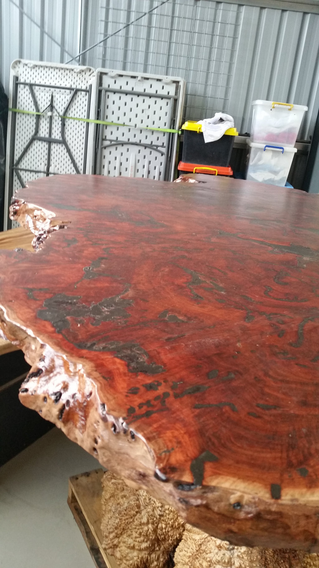 Redgum Burl Bar Table with Mallee Stump Base