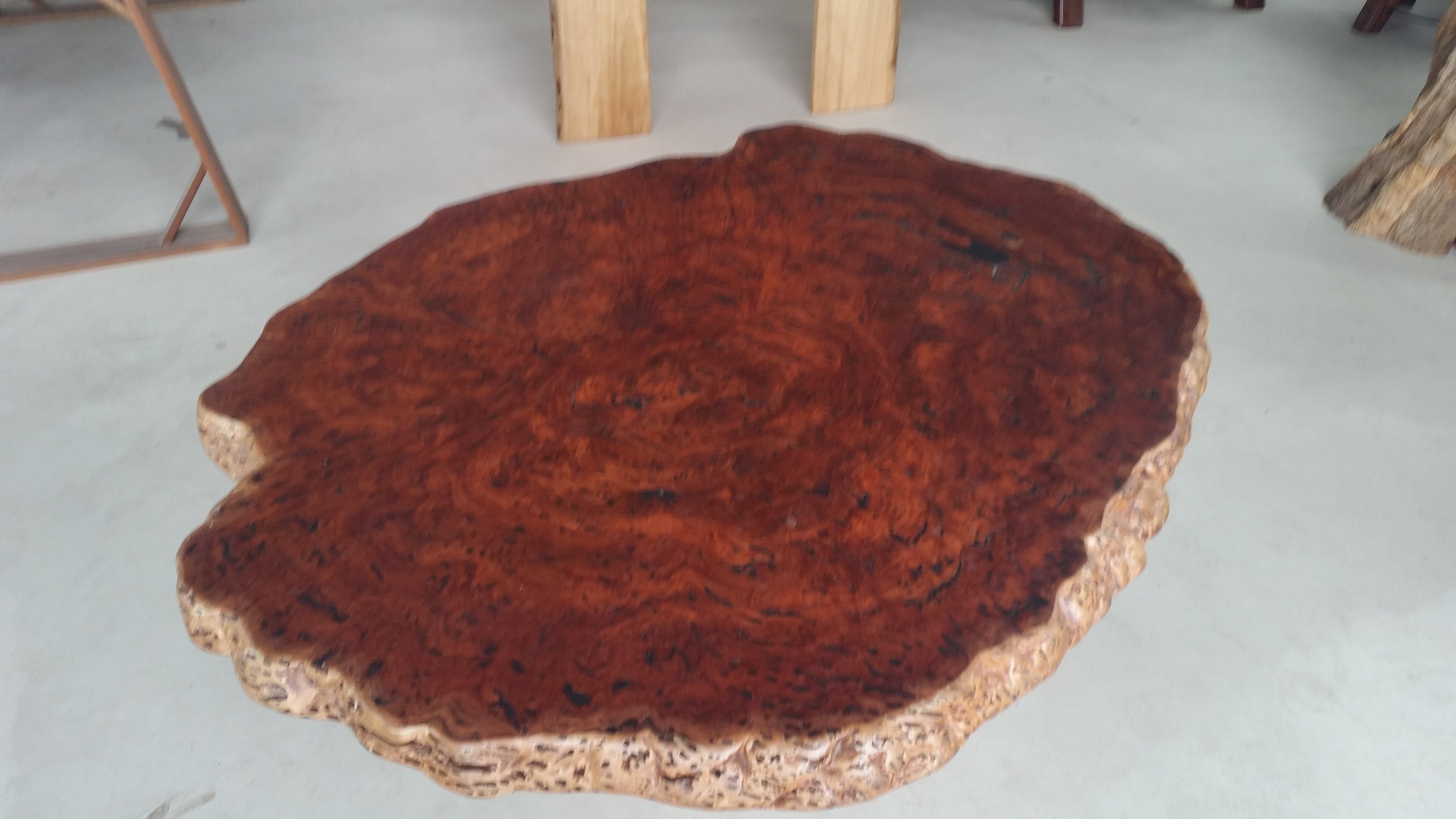 Redgum Burl Coffee Table with Mallee Stump Base
