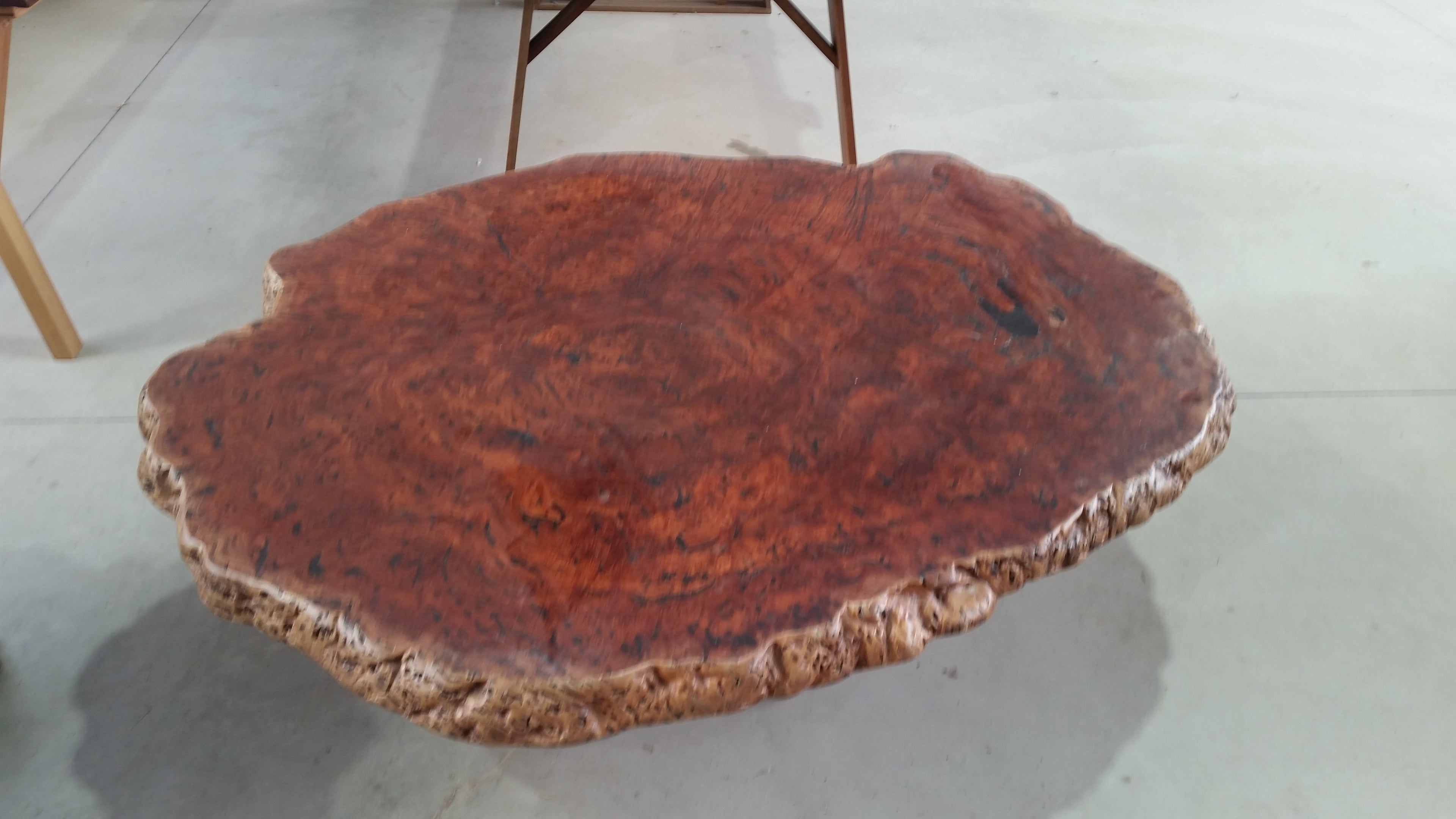 Redgum Burl Coffee Table with Mallee Stump Base